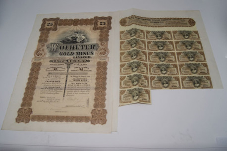 The wolhuter gold mines limited