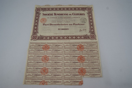 Société tunisienne de Cultures