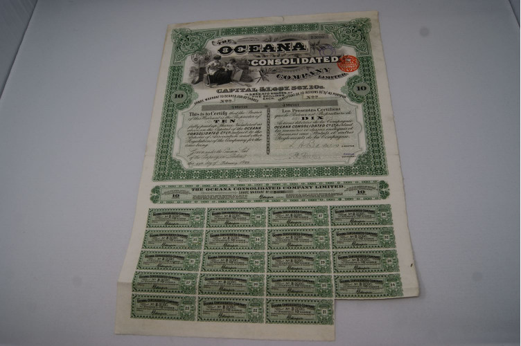 The Oceana Consolidated