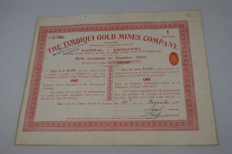 The Timbiqui Gold Mnes Company