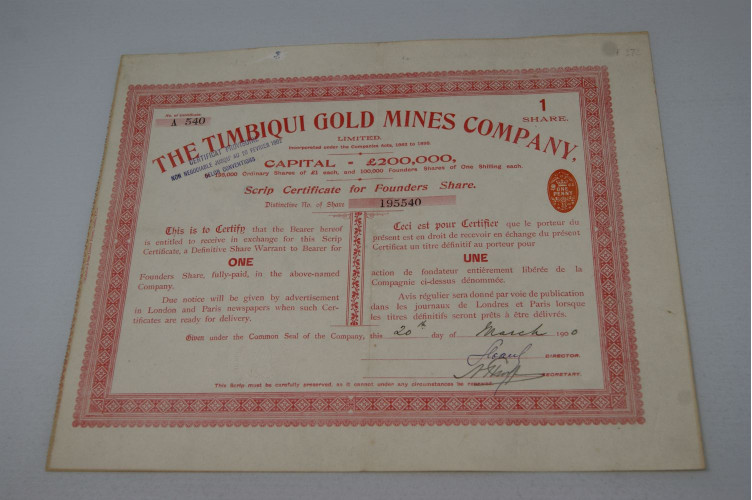 The Timbiqui Gold Mnes Company