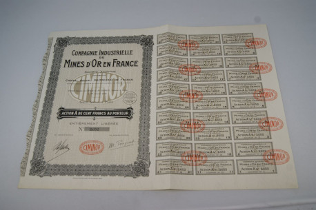 Compagnie industrielle de Mines d'Or en France