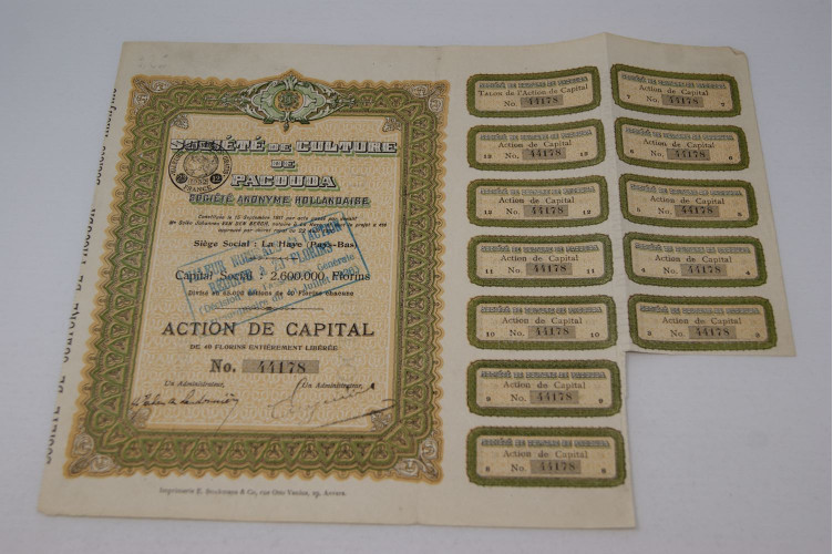 Société de culture de Pacouda