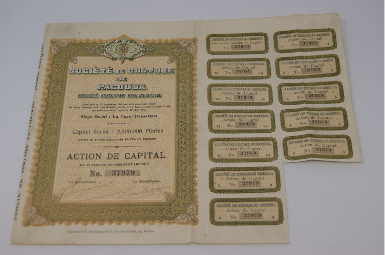 Société de culture de Pacouda