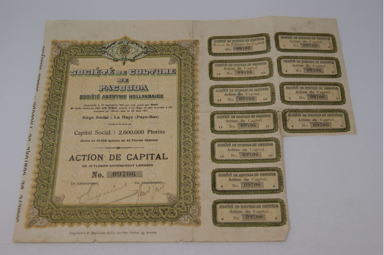 Société de culture de Pacouda