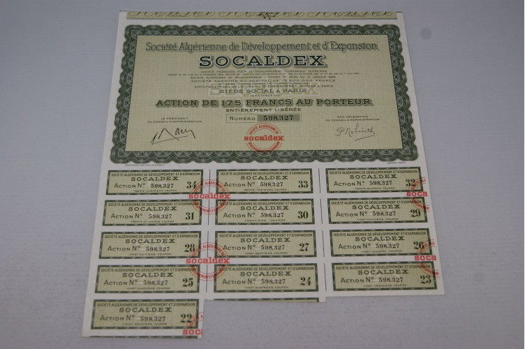 Société Algérienne de Développement et d'Expansion SOCALDEX