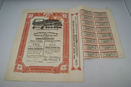 The Whim Well Copper Mines Limited