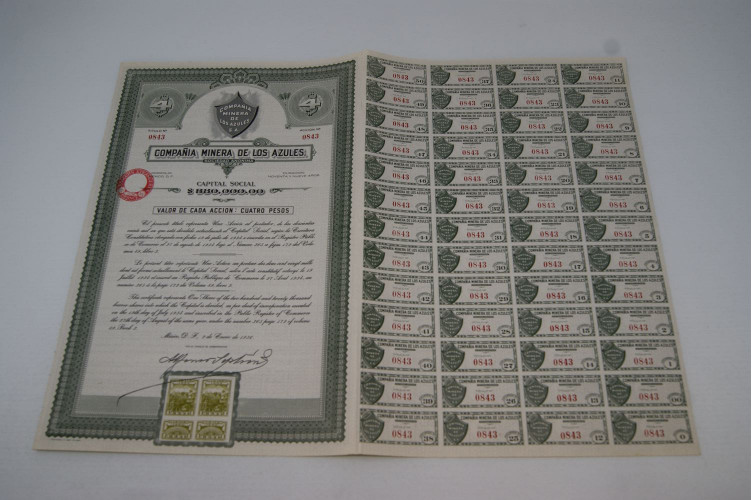 Compañia Minera de Los Azules