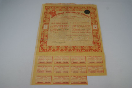 The Colombia India-Rubber Exploration