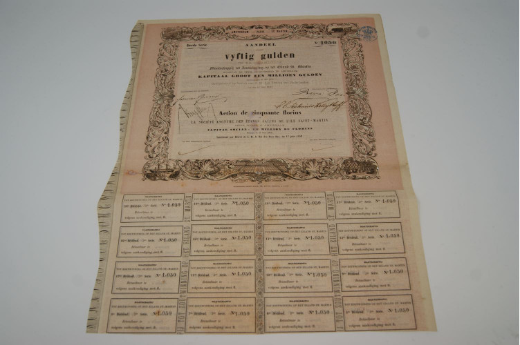 Société anonyme des étangs salins de l'ile de Saint Martin