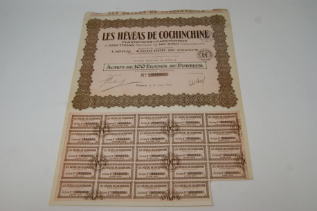 Les Hévéas de Cochinchine plantations de caoutchouc à Don Thuan province de Tay Ninh