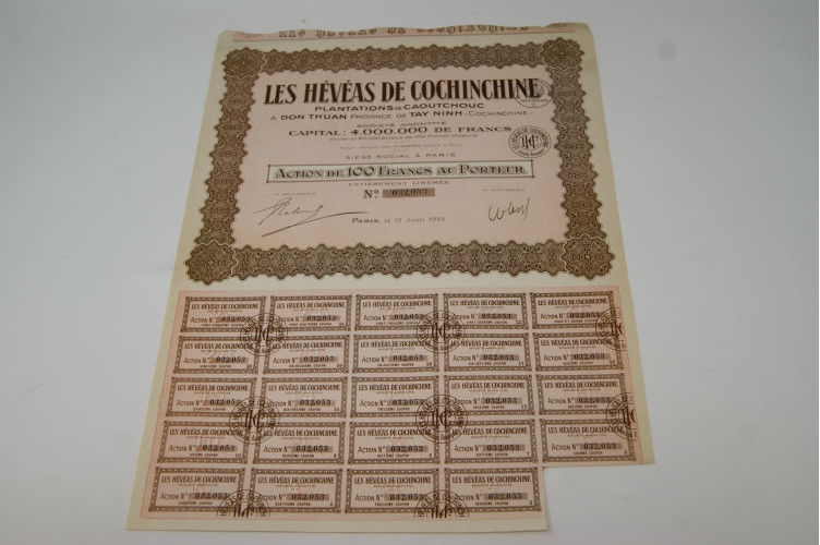 Les Hévéas de Cochinchine plantations de caoutchouc à Don Thuan province de Tay Ninh