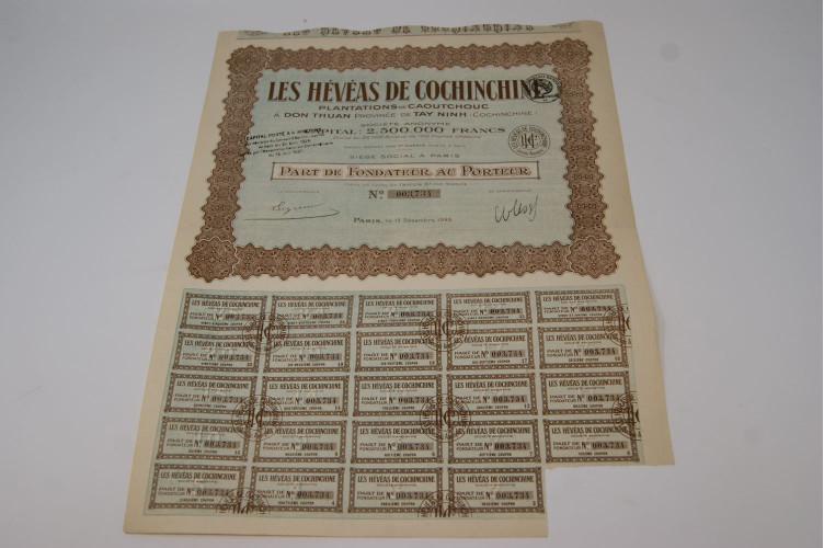 Les Hévéas de Cochinchine plantations de caoutchouc à Don Thuan province de Tay Ninh