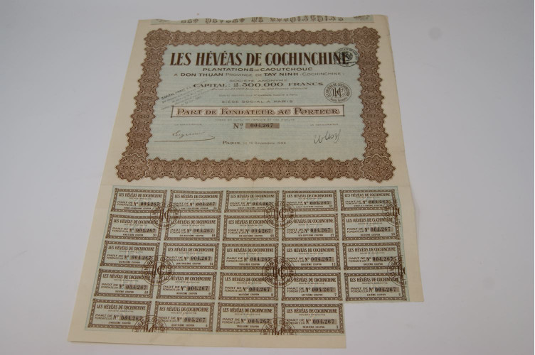 Les Hévéas de Cochinchine plantations...