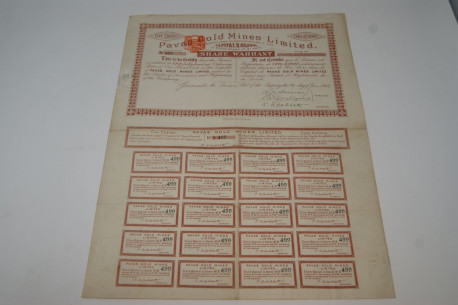 Pavas Gold Mines Limited