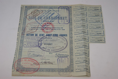 Société anonyme pour la fabrication de la soie de Chardonnet à Besançon (Doubs)