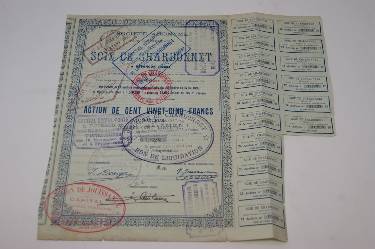 Société anonyme pour la fabrication de la soie de Chardonnet à Besançon (Doubs)