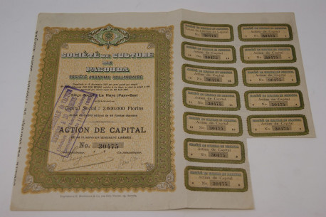 Société de culture de Pacouda Société Anonyme Hollandaise