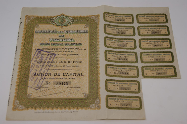 Société de culture de Pacouda Société Anonyme Hollandaise