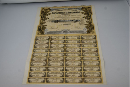 Bananerie de blue field