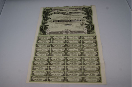 Bananerie de blue field