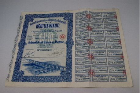 Houille bleu