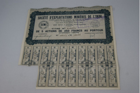 société d'exploitation minières de l'Infini